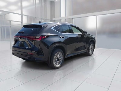 2026 Lexus NX NX 350 AWD