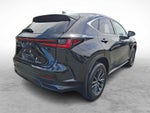 2024 Lexus NX 250 NX 250 FWD