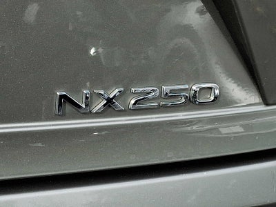2024 Lexus NX 250 NX 250 FWD