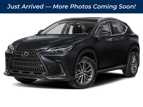 2024 Lexus NX NX 350 AWD