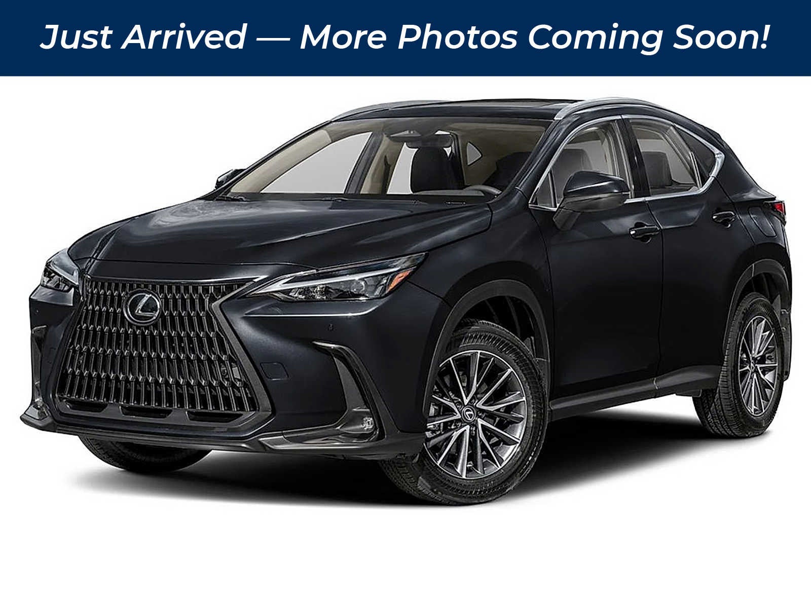 2024 Lexus NX NX 350 AWD
