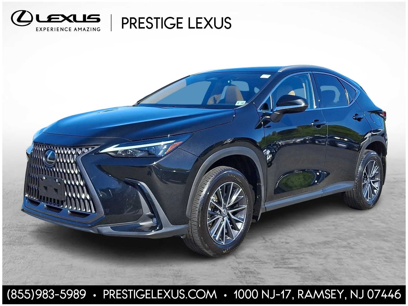 2024 Lexus NX 350 NX 350 AWD