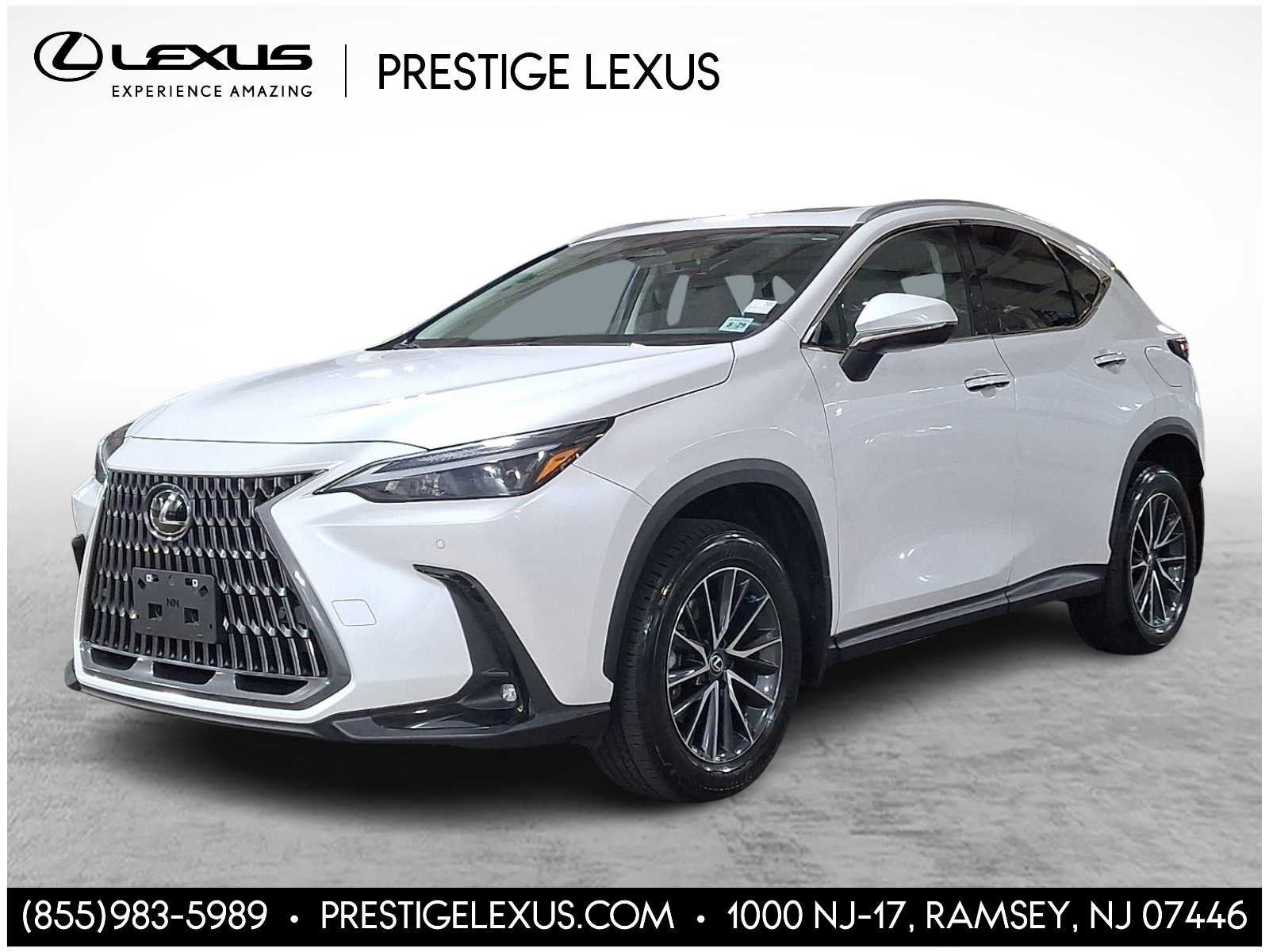 2025 Lexus NX 350 NX 350 AWD