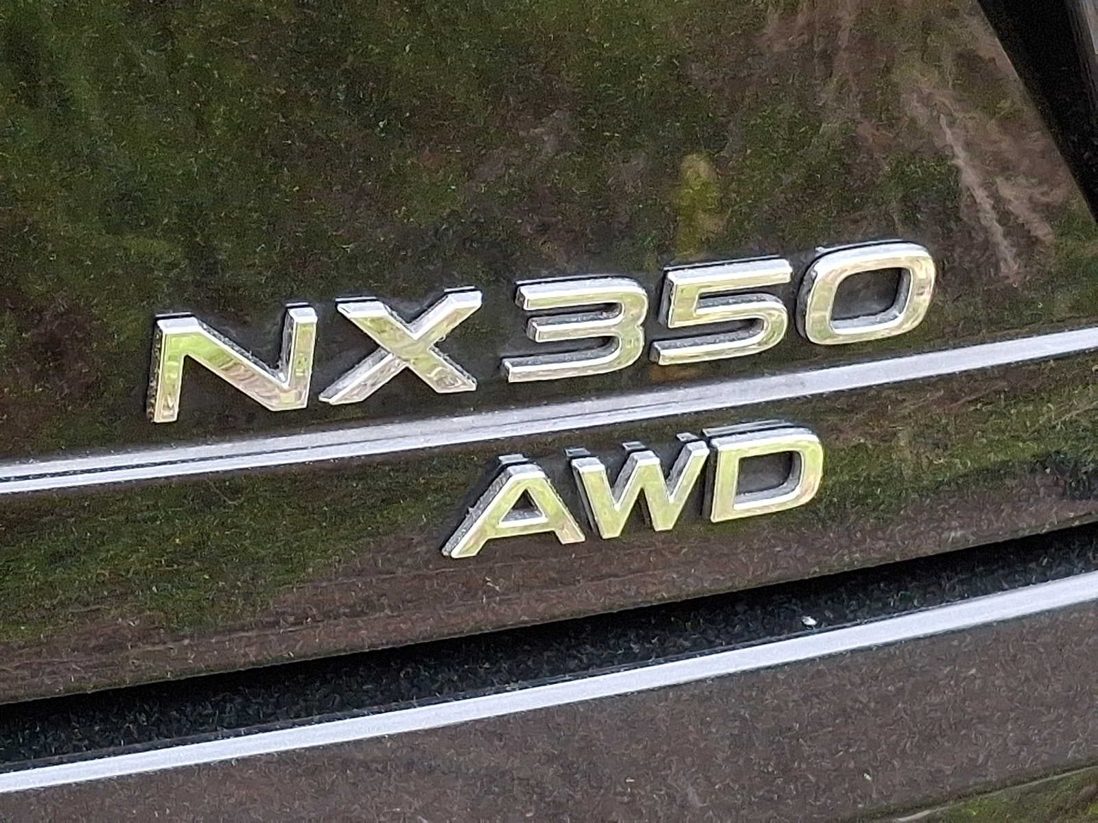 2024 Lexus NX 350 NX 350 AWD