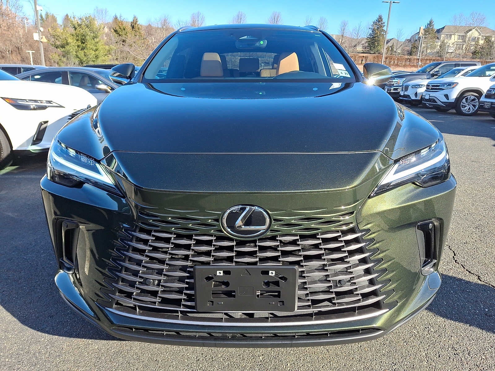 2025 Lexus RX Premium