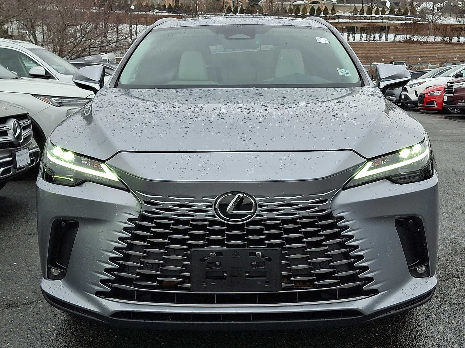 2023 Lexus RX Premium