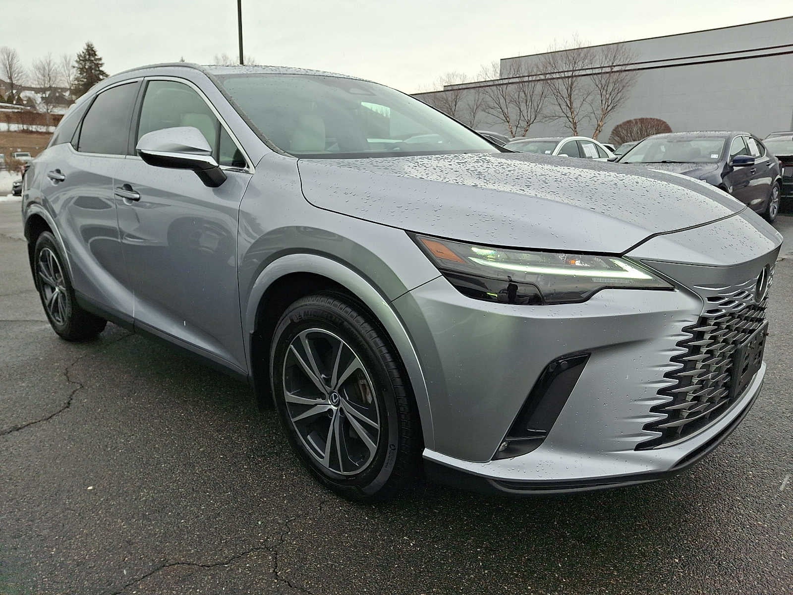 2023 Lexus RX Premium