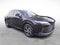2025 Lexus RX Premium