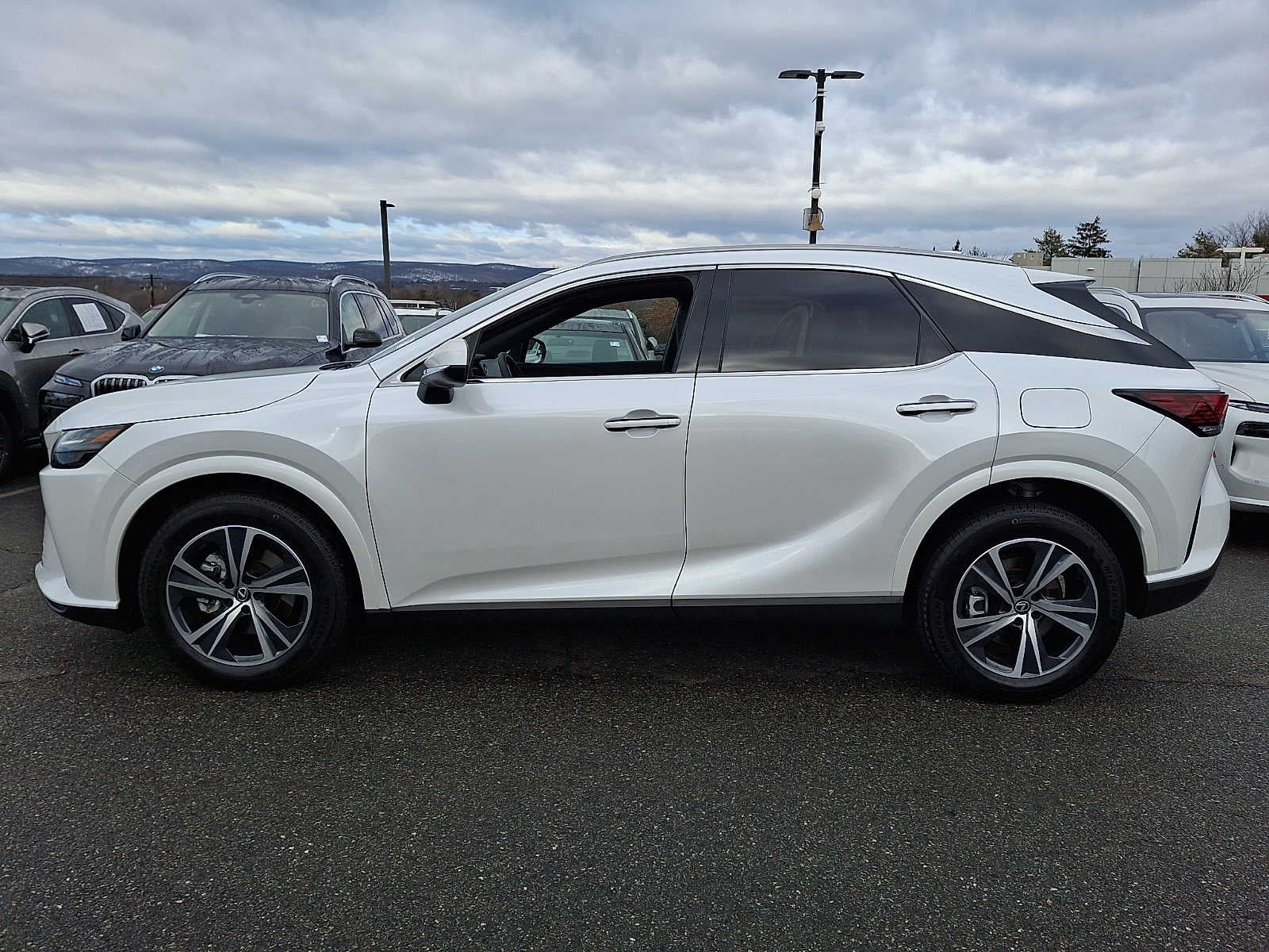 2025 Lexus RX Premium