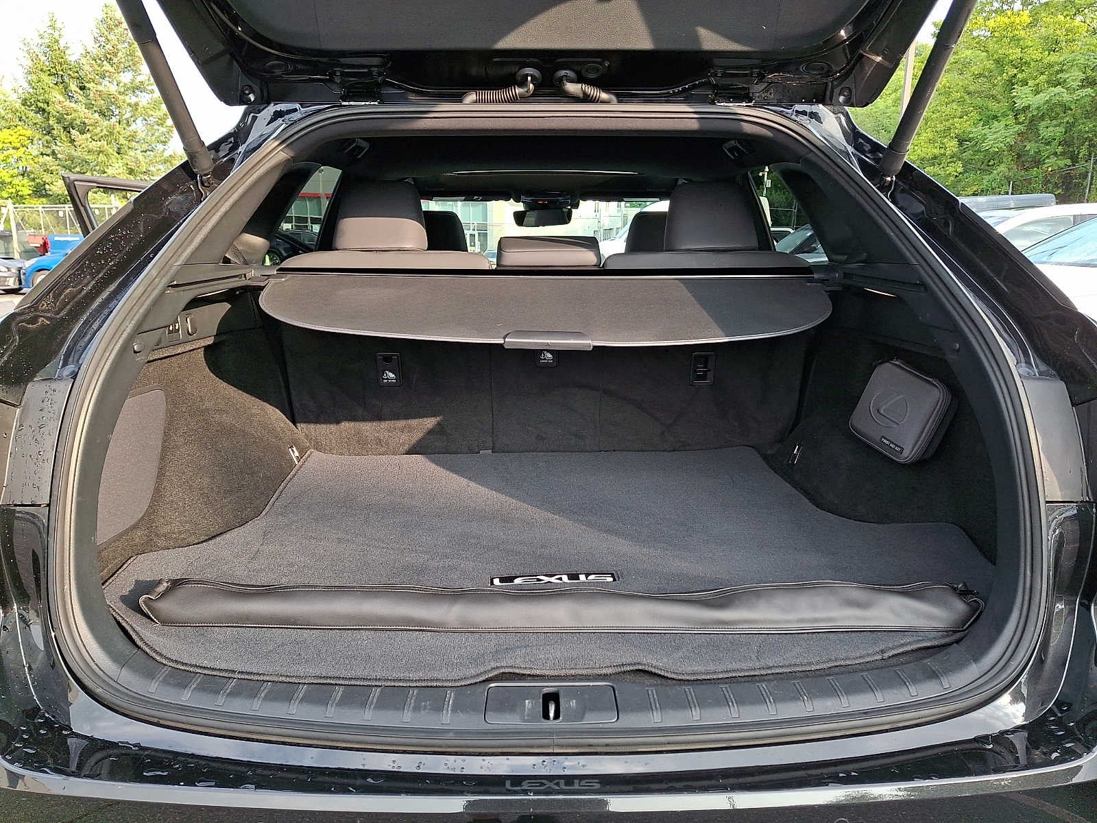 2024 Lexus RX 350 Premium