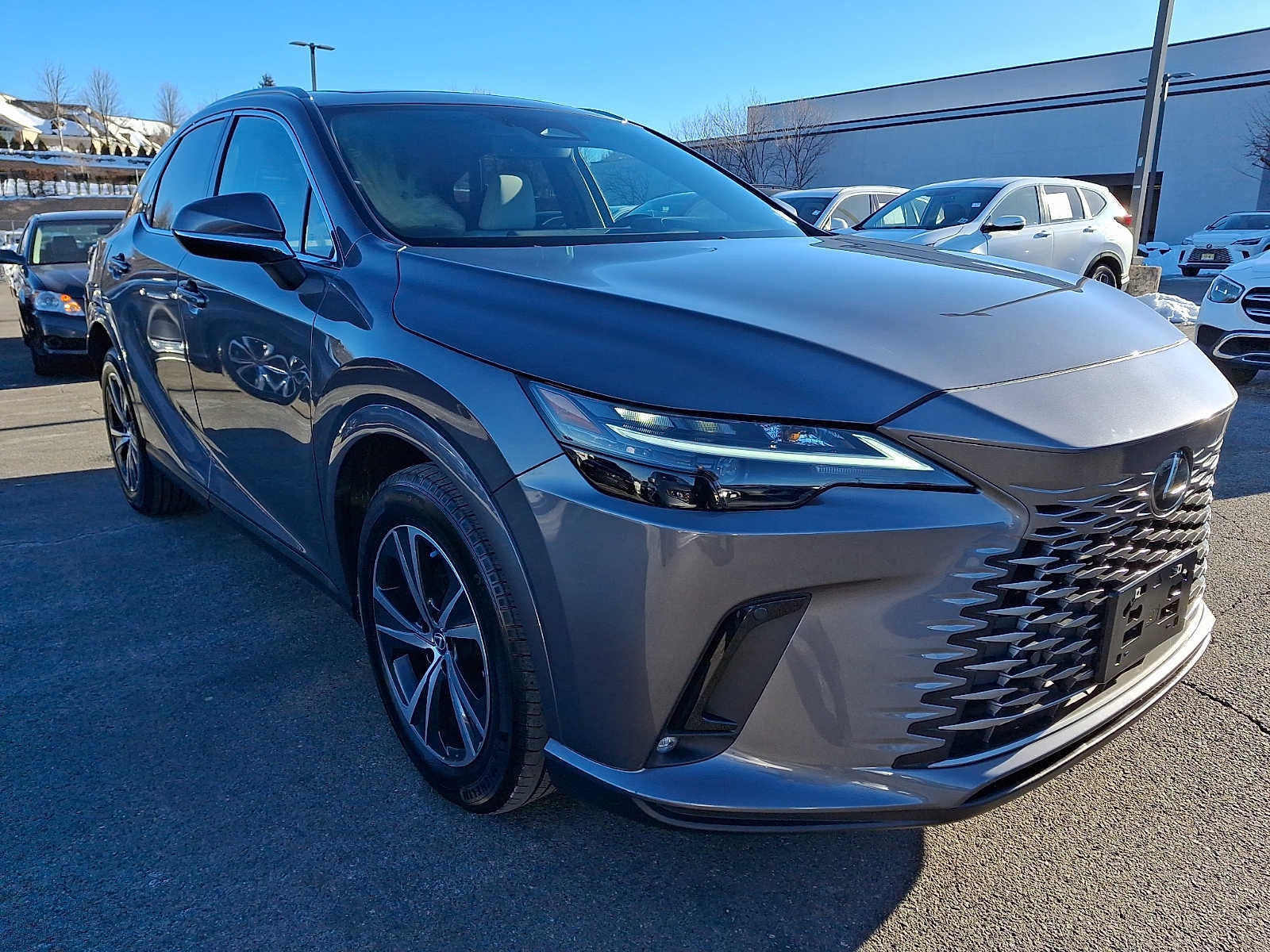 2023 Lexus RX Premium