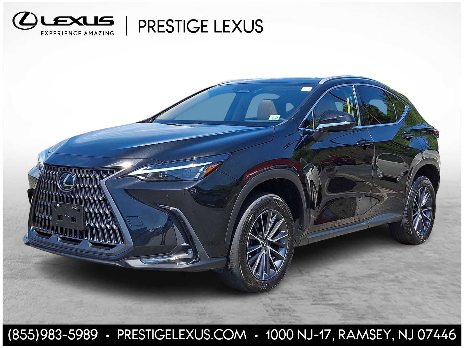 2024 Lexus NX 350 350 Premium AWD's photo