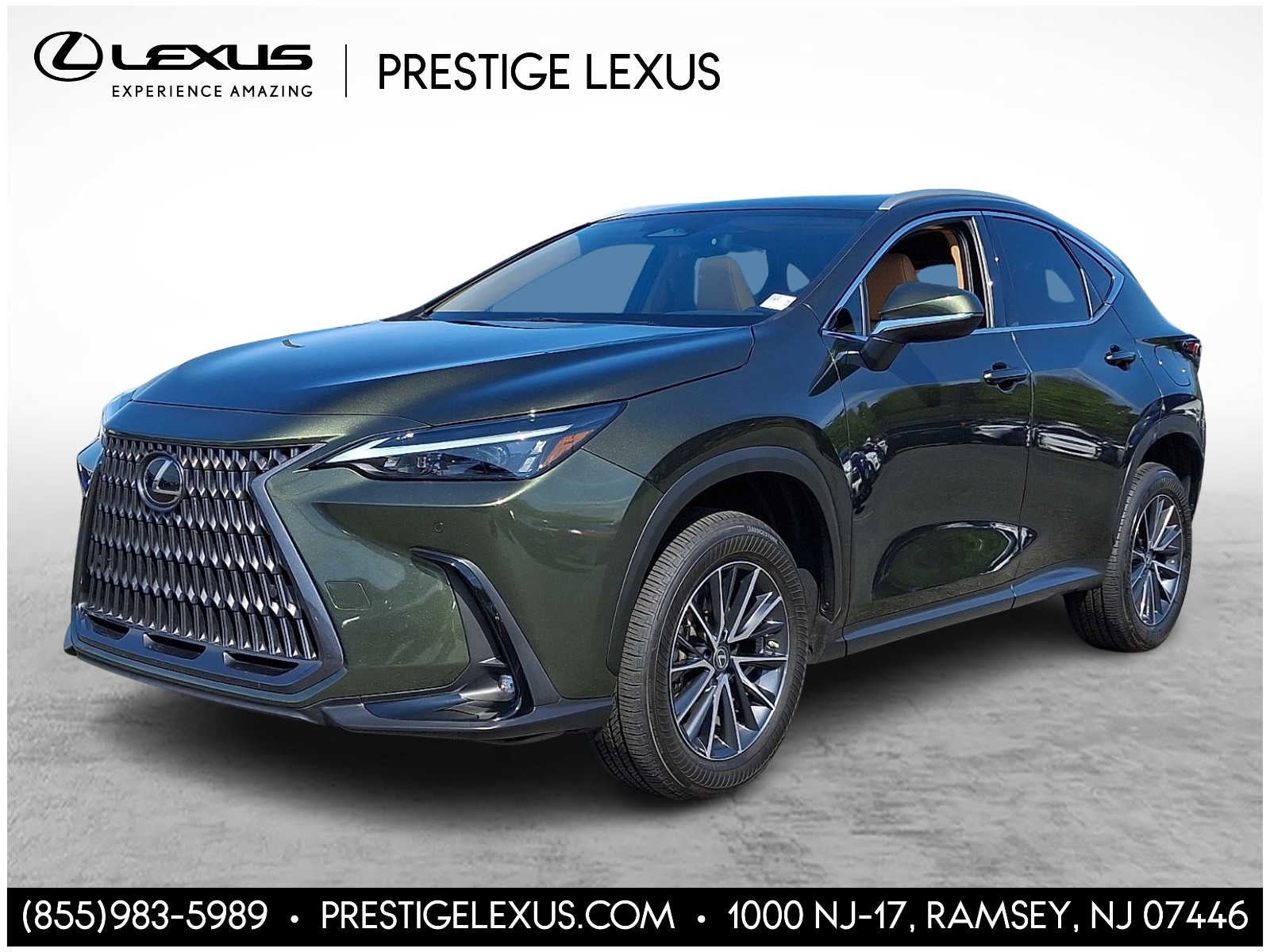 2023 Lexus NX 350 Premium
