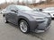2025 Lexus NX 350 PREMIUM AWD PREMIUM