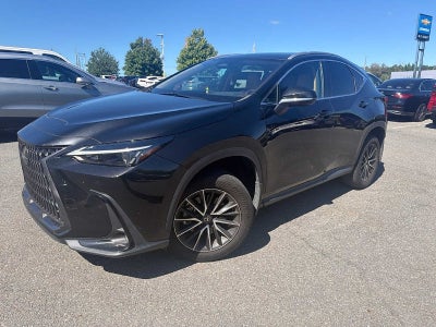 2024 Lexus NX 350 Premium