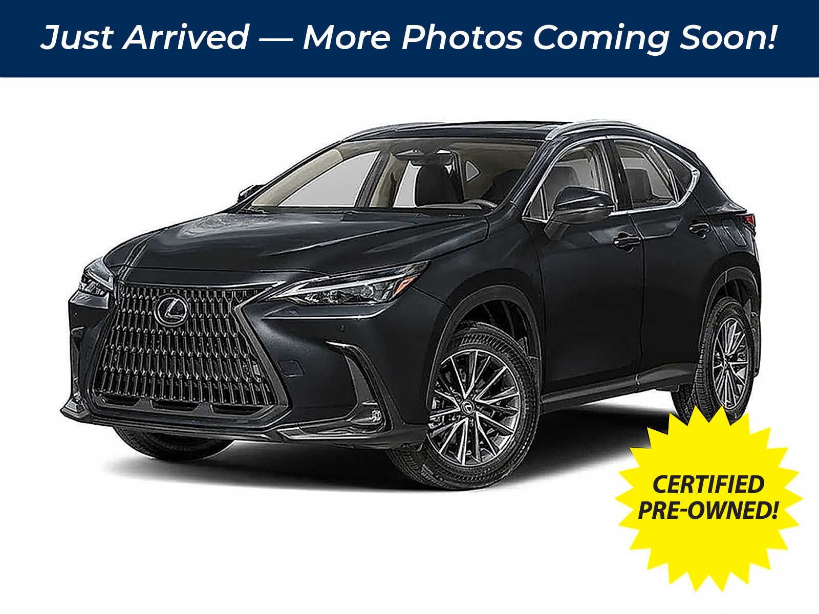 2025 Lexus NX Premium