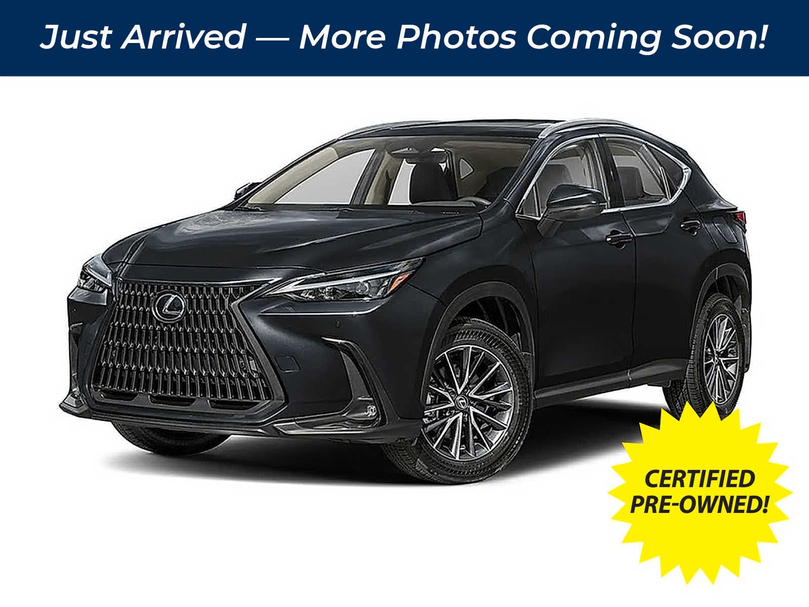 2025 Lexus NX Premium