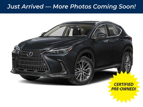 2025 Lexus NX Premium