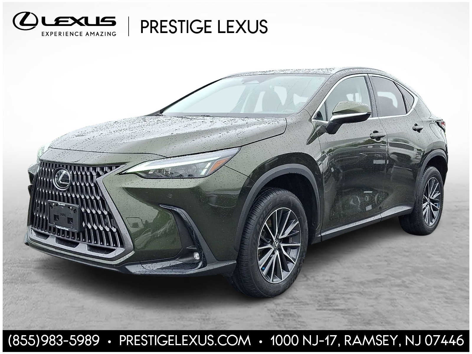 2024 Lexus NX 350h Premium