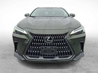 2024 Lexus NX 350h Premium