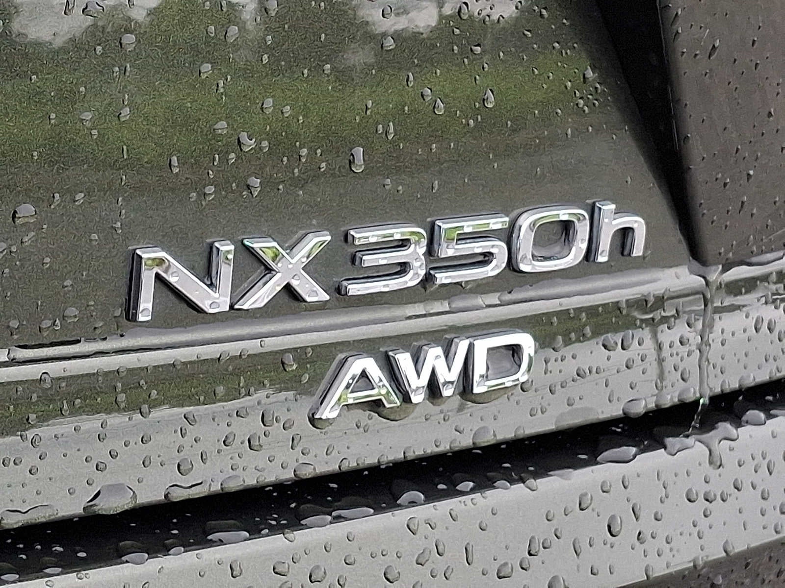 2024 Lexus NX 350h Premium