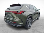 2024 Lexus NX 350h Premium