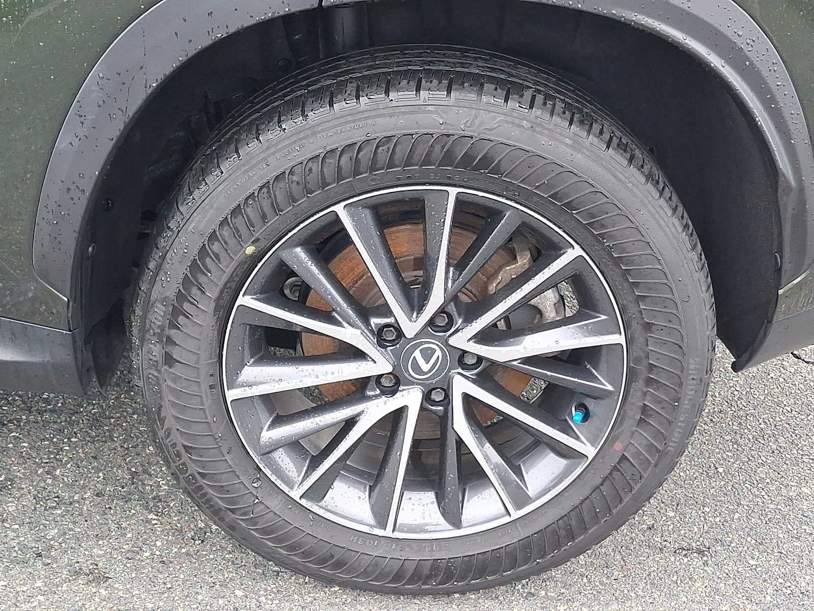 2024 Lexus NX 350h Premium