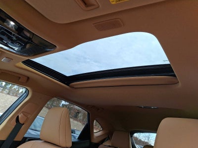 2024 Lexus NX Premium