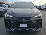 2024 Lexus NX Premium