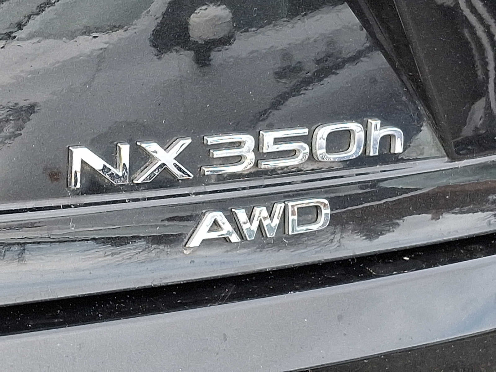 2024 Lexus NX Premium