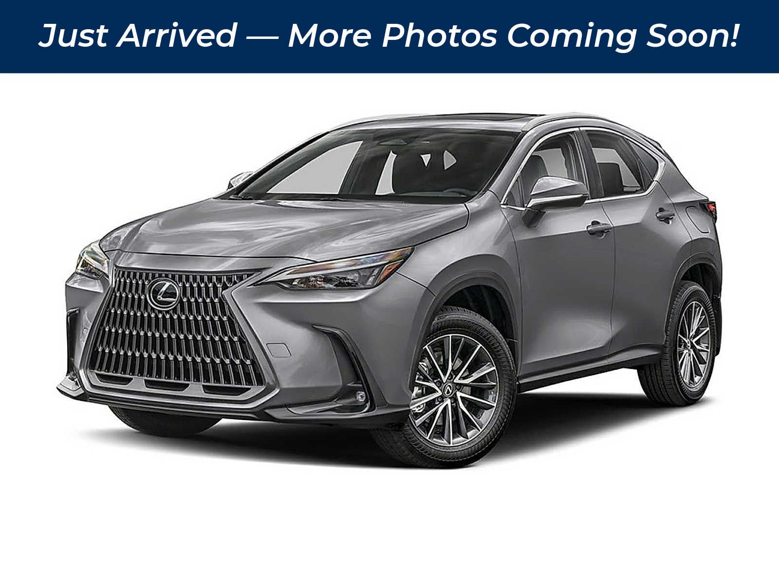 2023 Lexus NX Premium