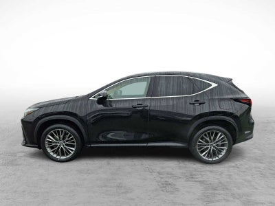 2023 Lexus NX Premium