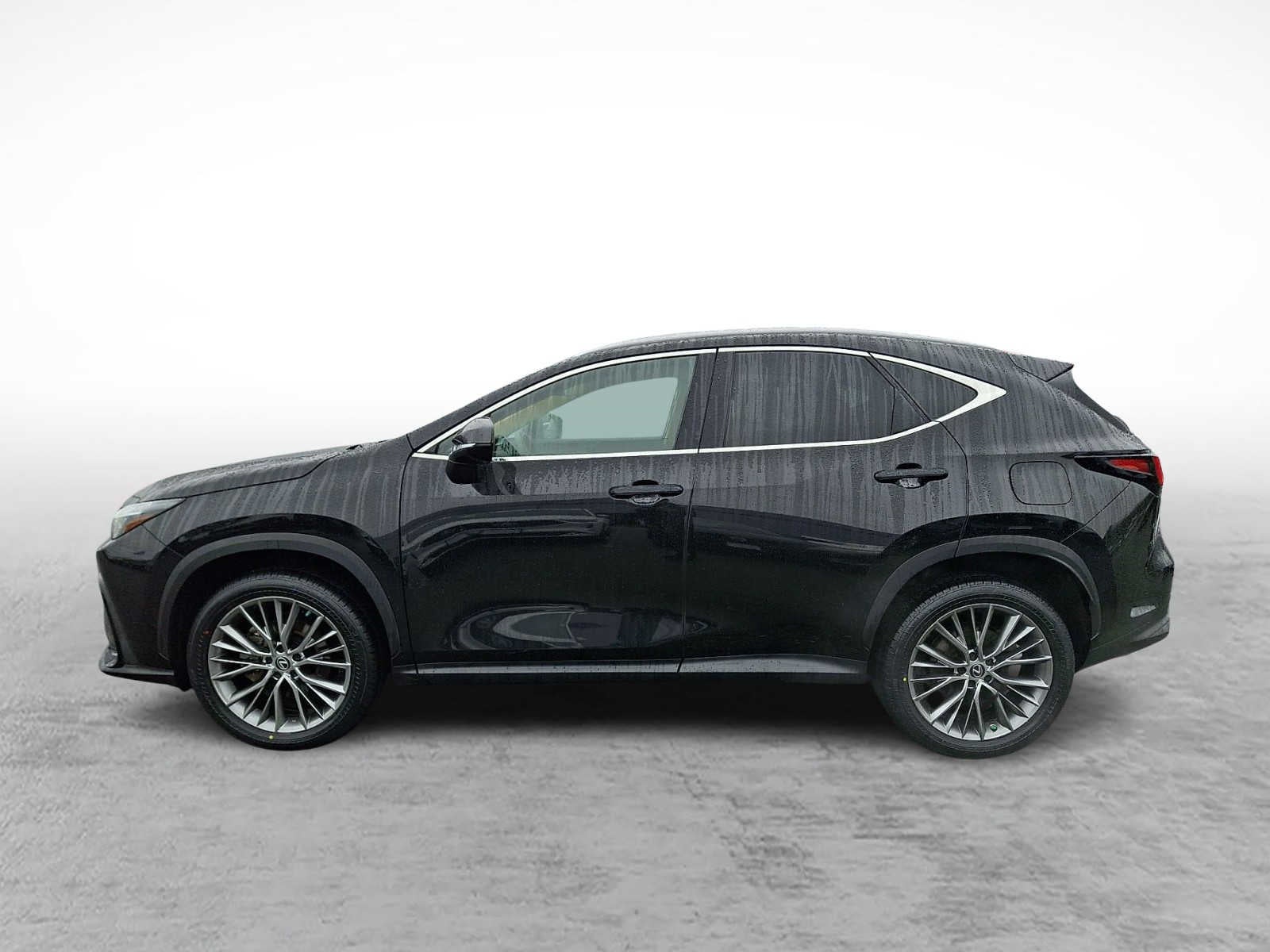 2023 Lexus NX Premium
