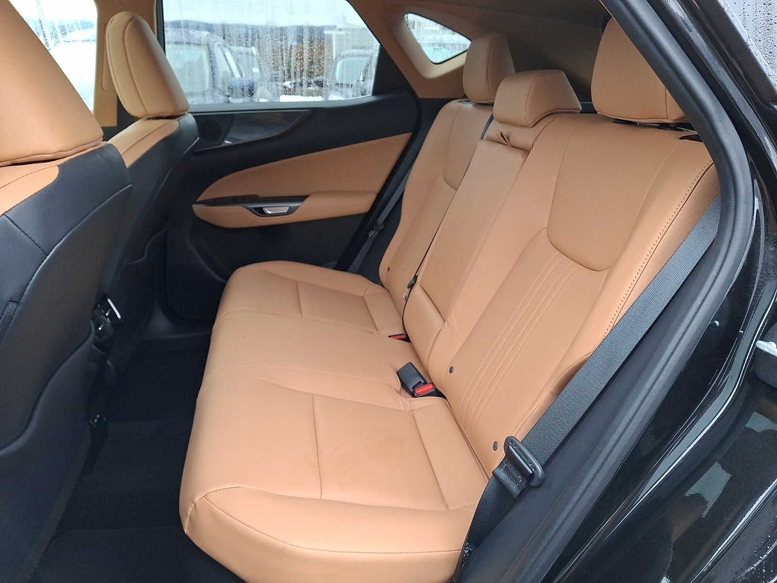 2023 Lexus NX Premium