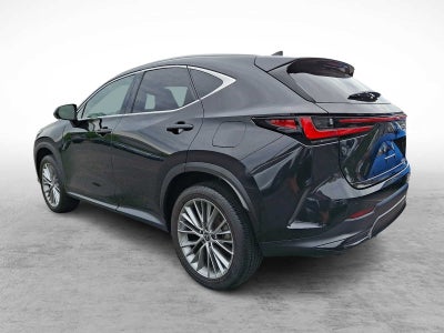 2025 Lexus NX 350h PREMIUM AWD PREMIUM
