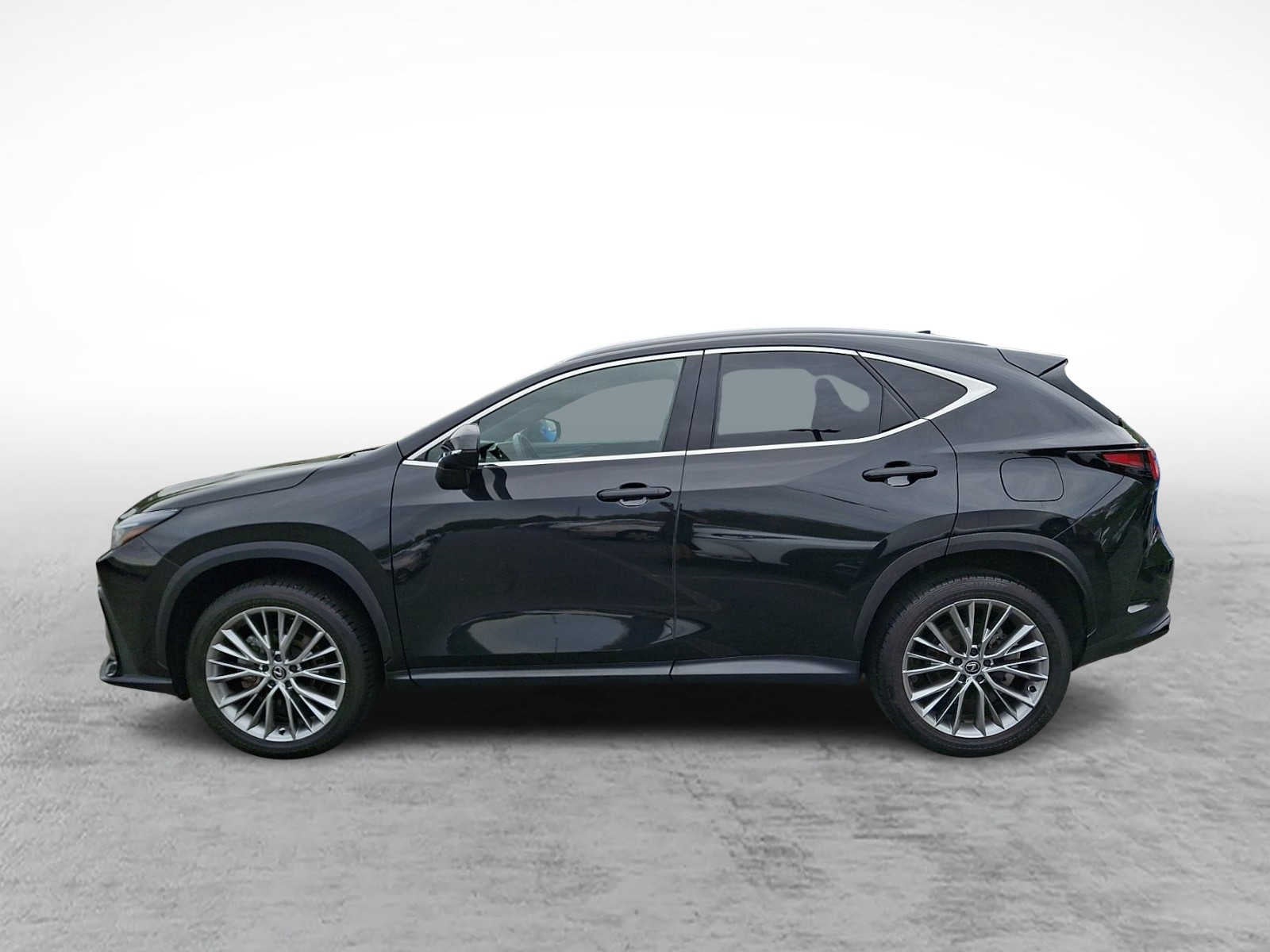 2025 Lexus NX 350h PREMIUM AWD PREMIUM
