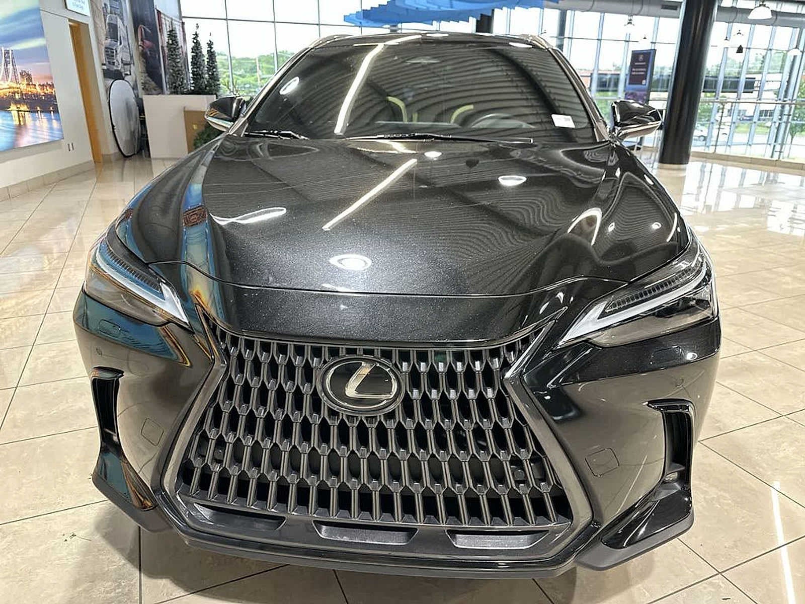 2023 Lexus NX 350 Luxury