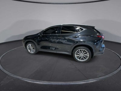 2023 Lexus NX 350 Luxury