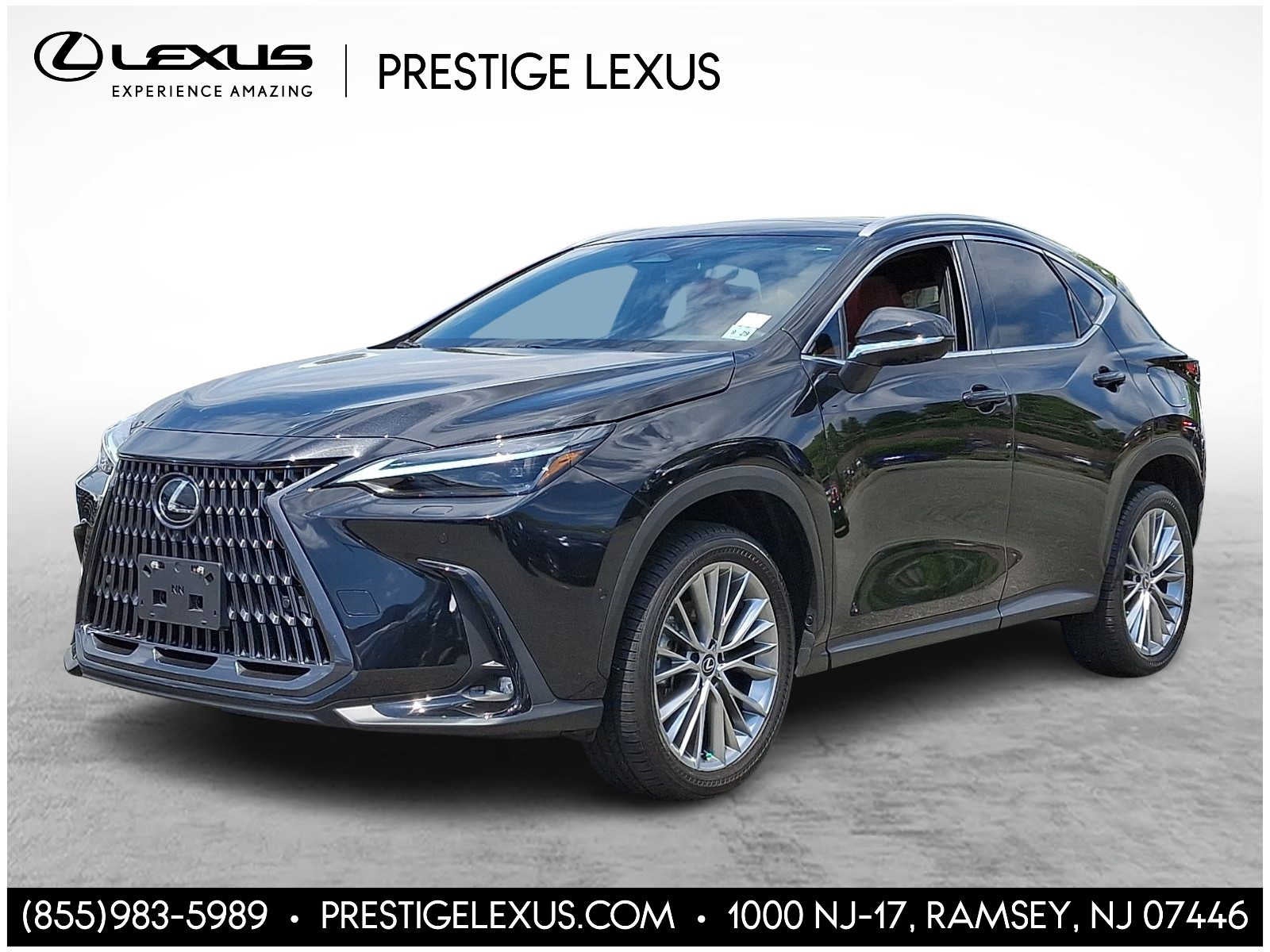2025 Lexus NX 350 Luxury