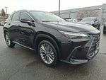 2025 Lexus NX 350 LUXURY AWD LUXURY AWD