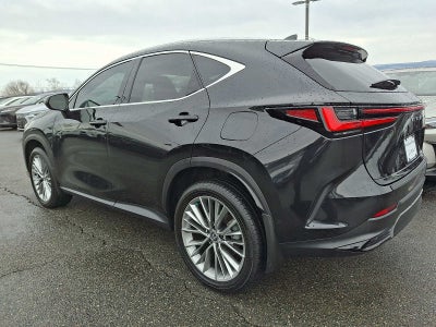 2025 Lexus NX 350 LUXURY AWD LUXURY AWD