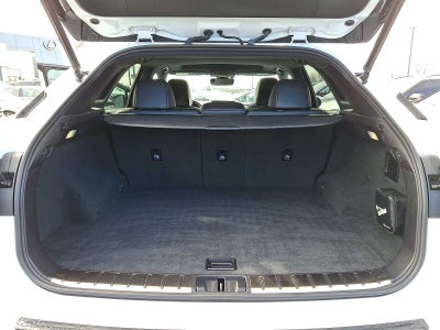 2021 Lexus RX F SPORT Appearance