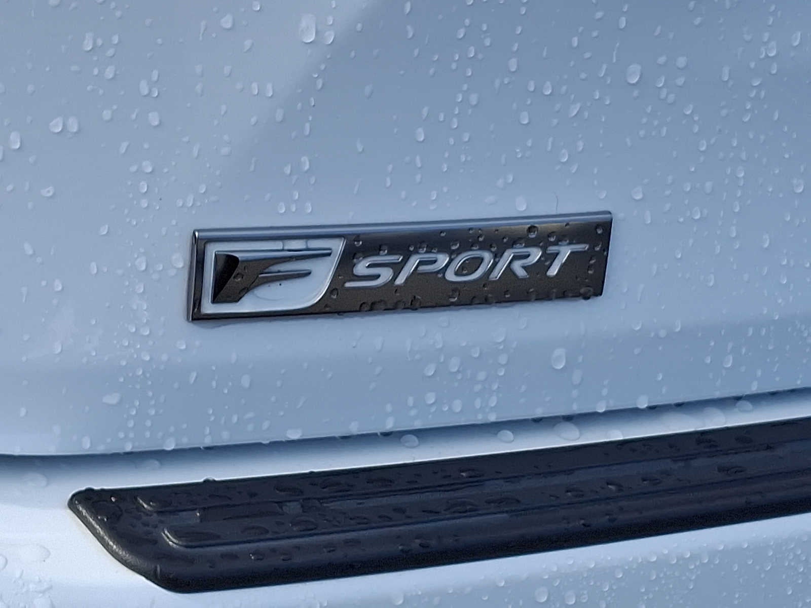 2021 Lexus RX F SPORT Appearance