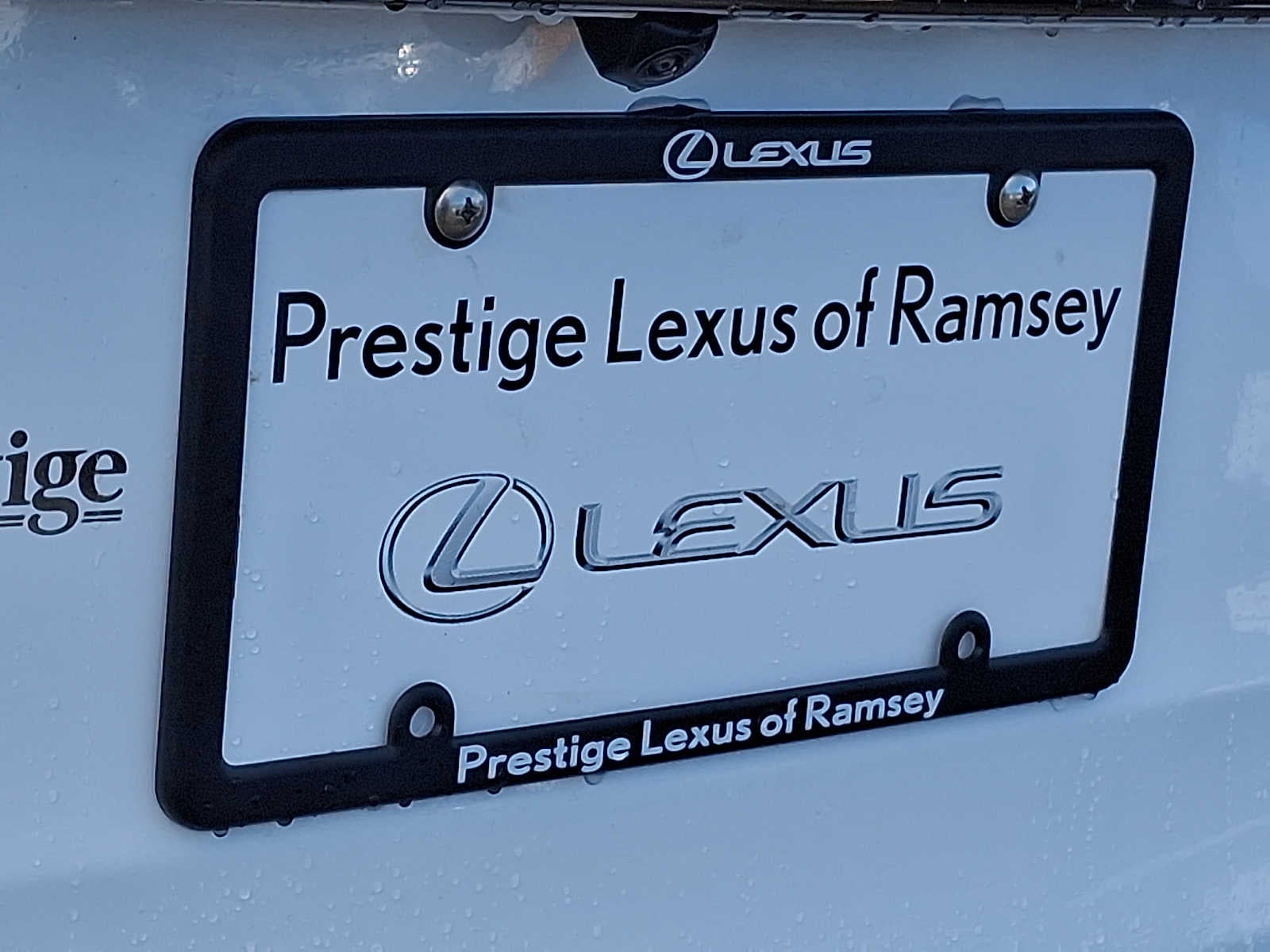 2021 Lexus RX F SPORT Appearance