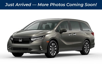 2023 Honda Odyssey EX-L