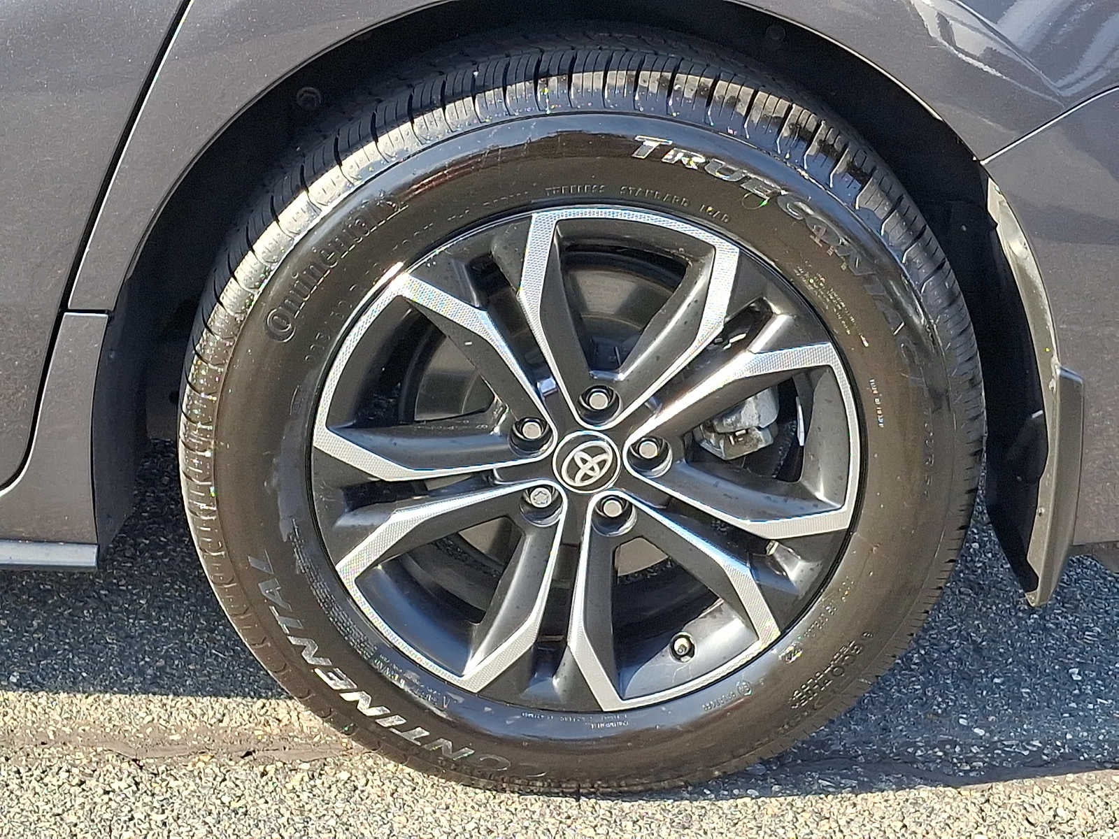 2025 Toyota Sienna Platinum