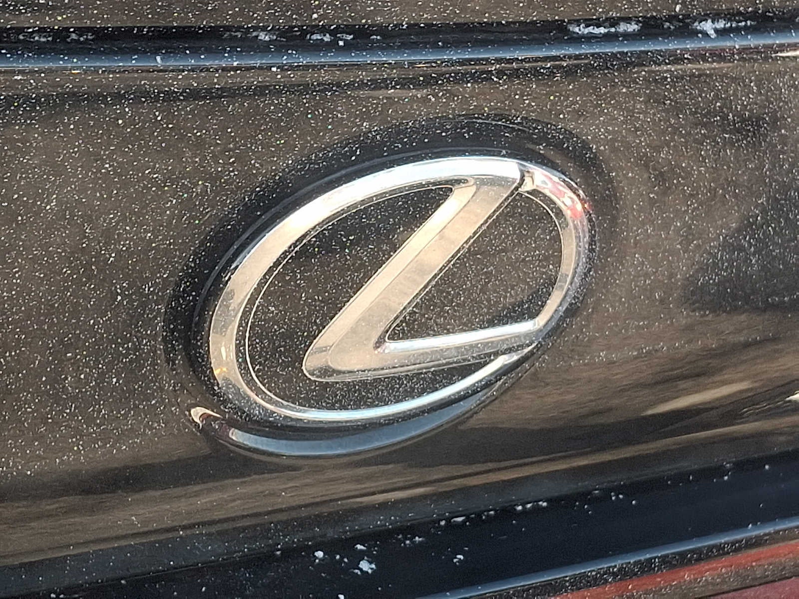 2023 Lexus IS F SPORT