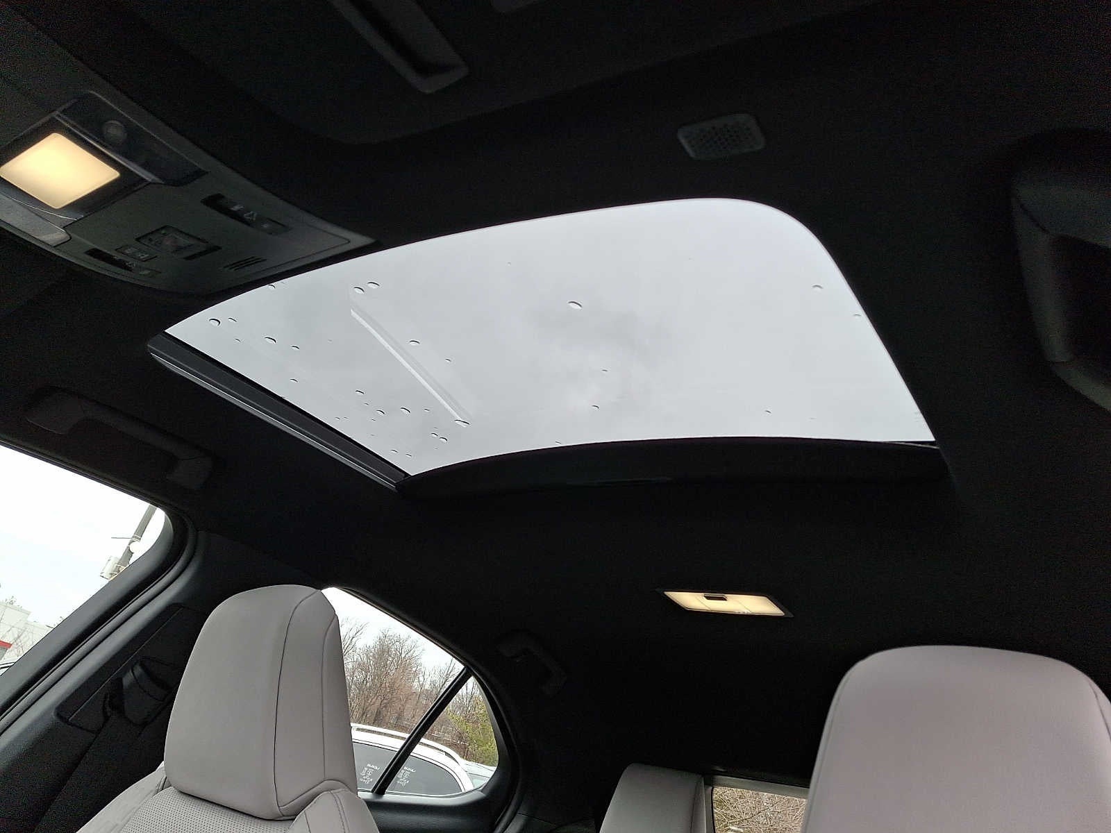 2021 Lexus UX UX 250h AWD