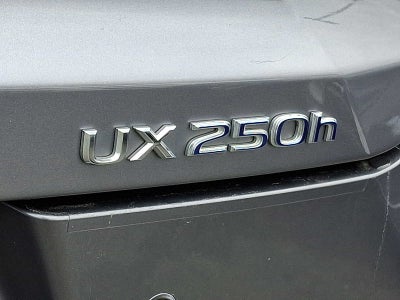 2021 Lexus UX UX 250h AWD