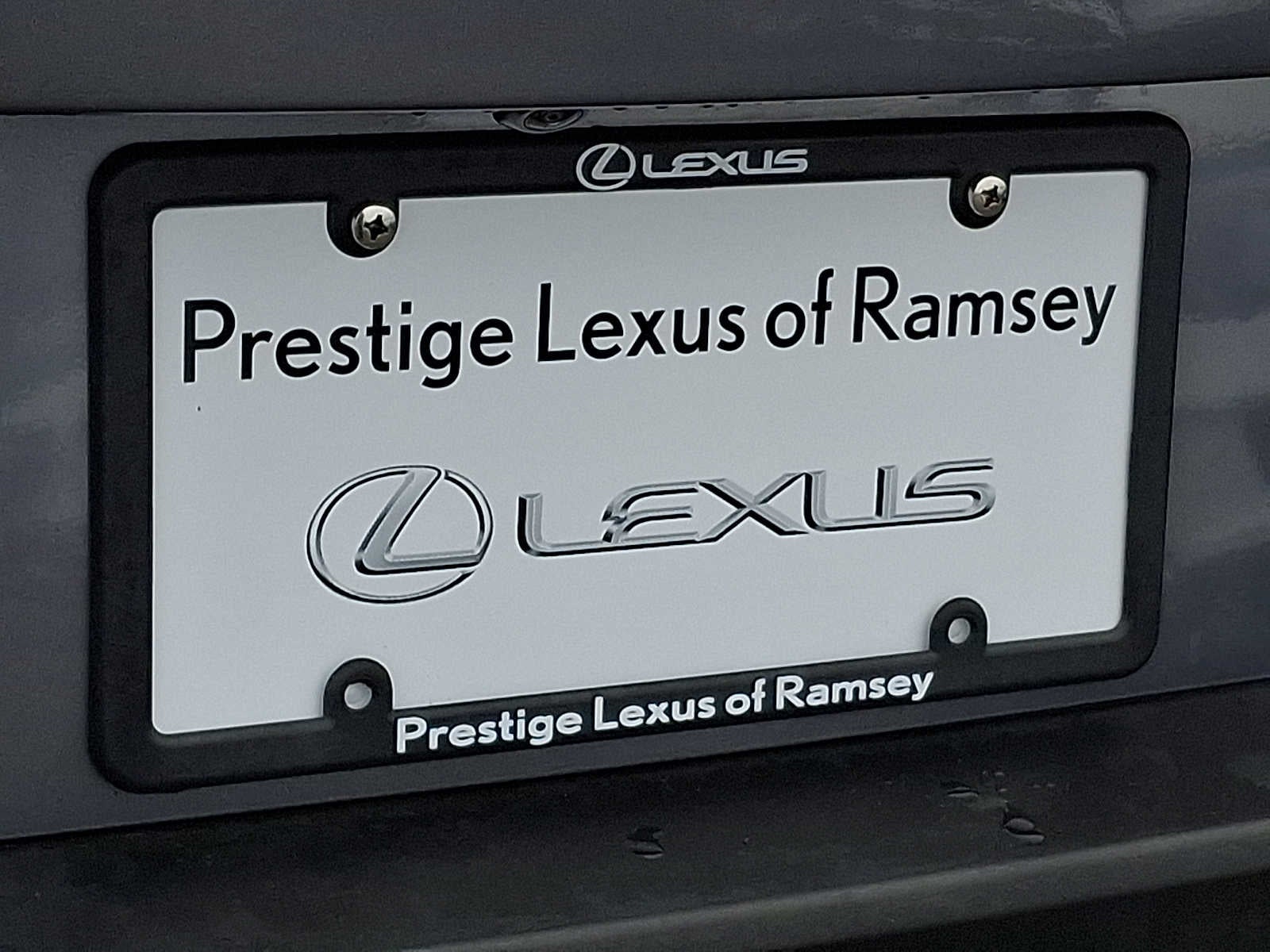 2021 Lexus UX UX 250h AWD